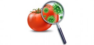 Food safety has many ingredients. Robust biological science on food hazards is one. Supply chain integrity is another.