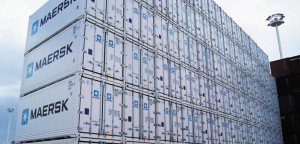 International shipping company Maersk Line has taken notice of market demand and has invested heavily in a large number of 20ft refrigerated containers.