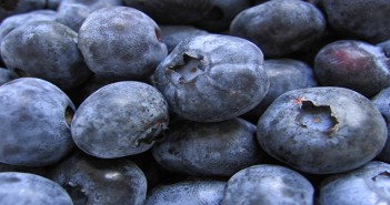 Blueberries can help with mental acuity, Metabolic Syndrome, gut health and muscle repair.