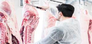 Innovative automation solution gives NZ meat processor a winning edge