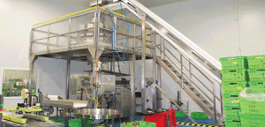 Southern Fresh automate their fresh produce packaging plant with Paxiom Systems from Wedderburn NZ.