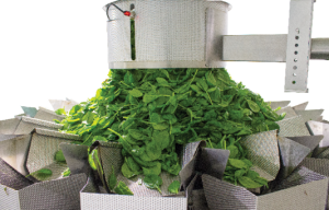 PrimoCombi 5L Multihead Weigher with 14 head combination scale efficiently, delicately and accurately weighs fresh produce.
