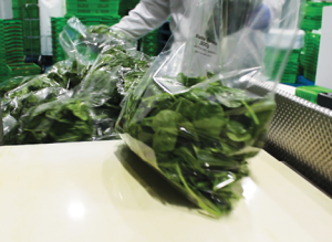 Fresh produce is weighed, bagged and batched at impressive speeds.