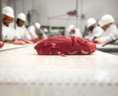 MEAT THE SOLUTION: DEMATIC HELPS SCALE UP MEAT PROCESSING FACILITY