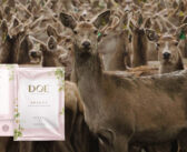 Innovative Kiwi Pāmu Deer Milk wins prestigious global award