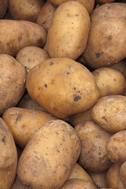 Research suggests there is a beneficial relationship between red meat and potatoes